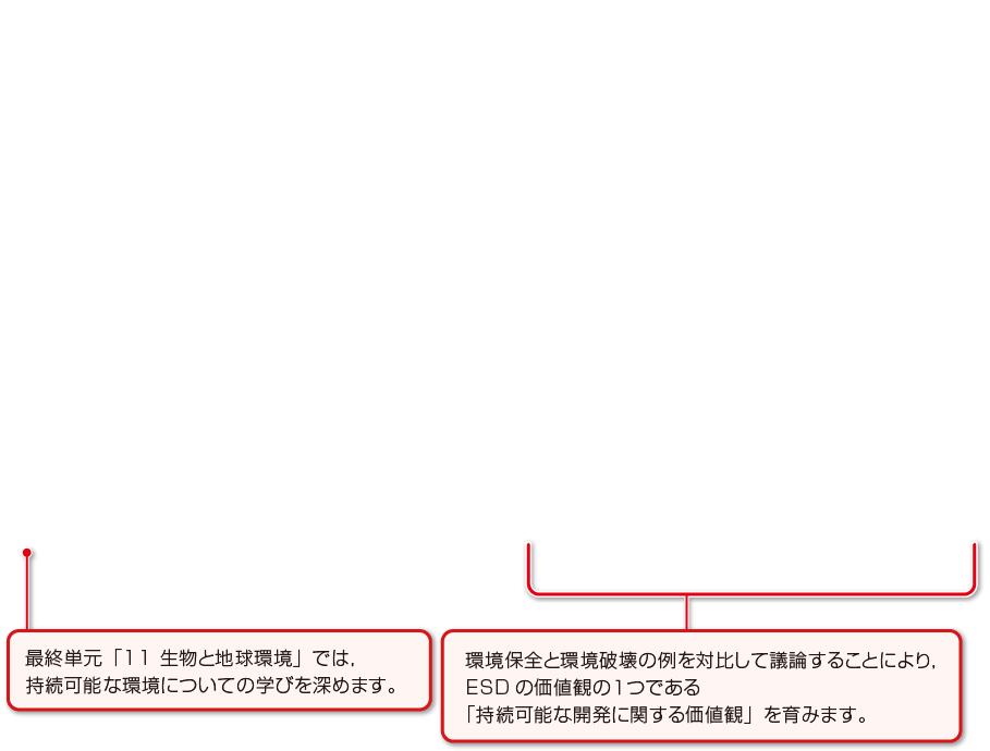 内容解説：環境教育を意識した紙面構成