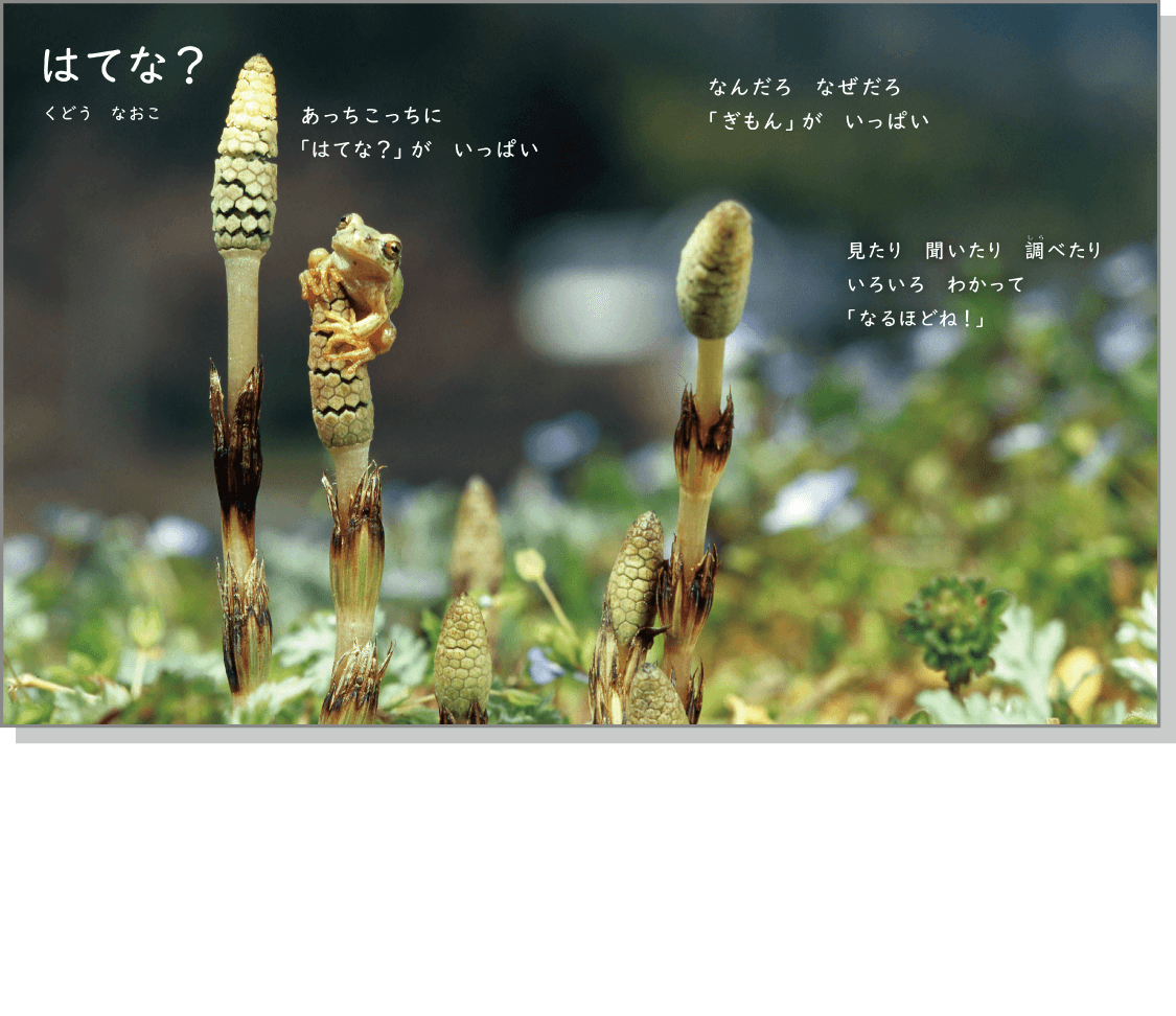 内容解説：児童の興味・関心が高まる