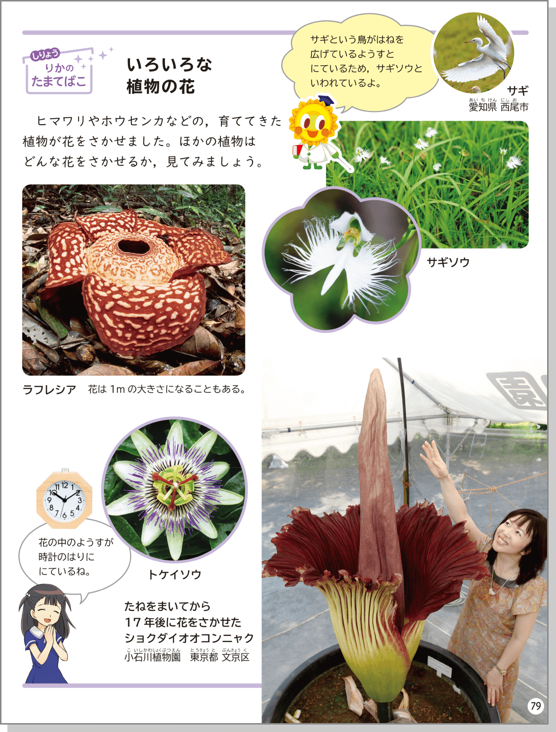 内容解説：「科学館・博物館に行ってみよう」
