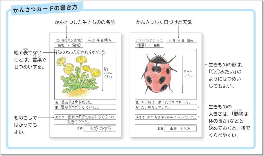内容解説:基本的な「技能」を身につける