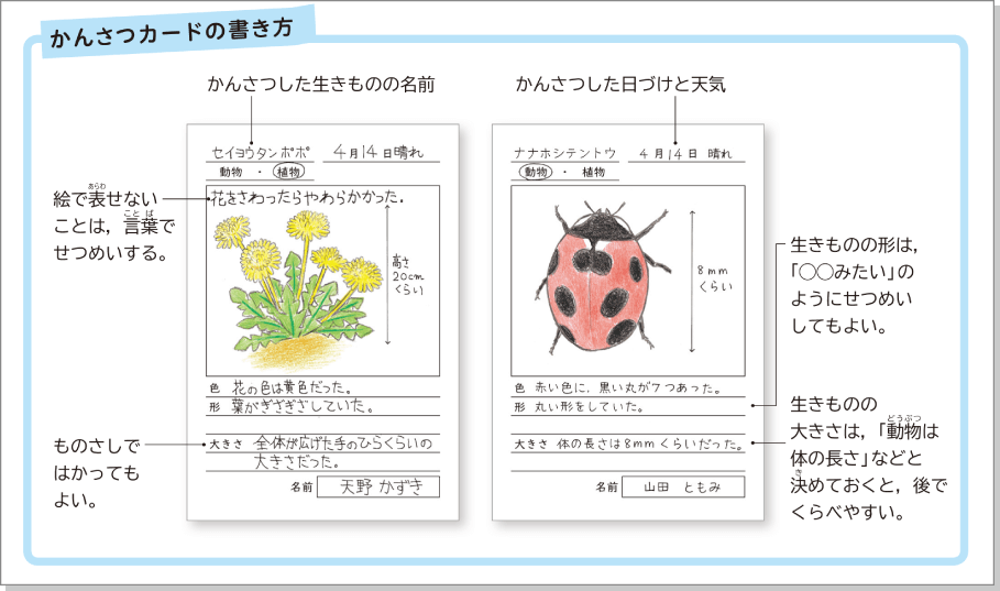 内容解説：基本的な「技能」を身につける