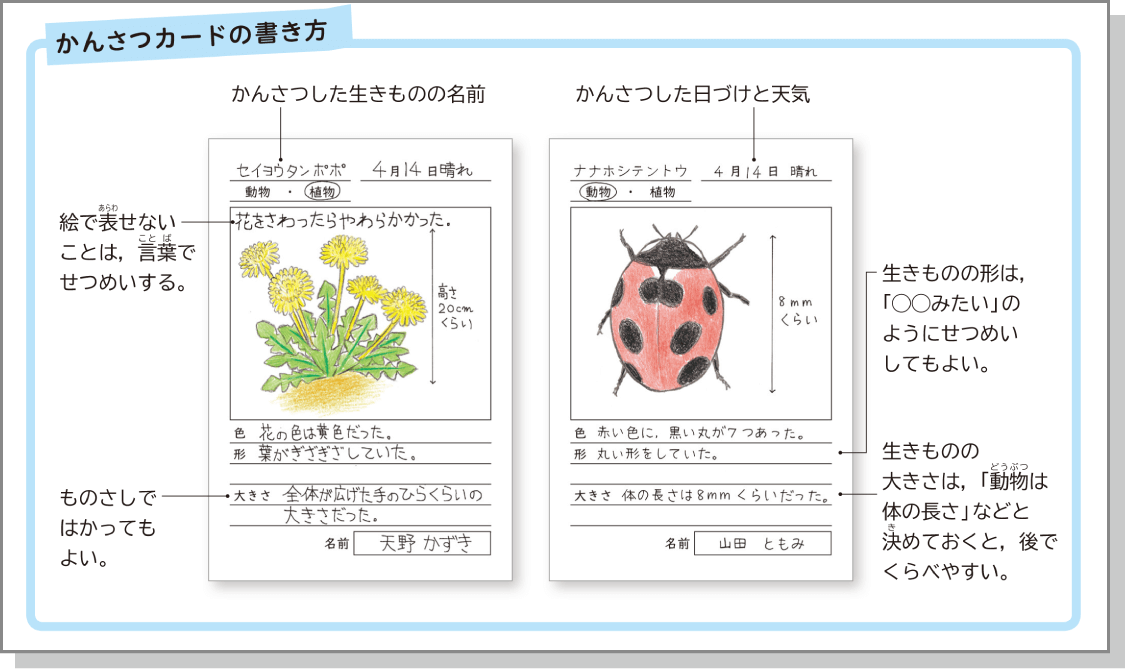 内容解説:基本的な「技能」を身につける