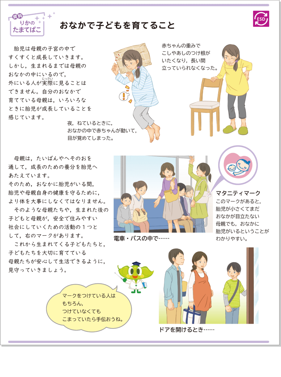 内容解説:おなかで子どもを育てること