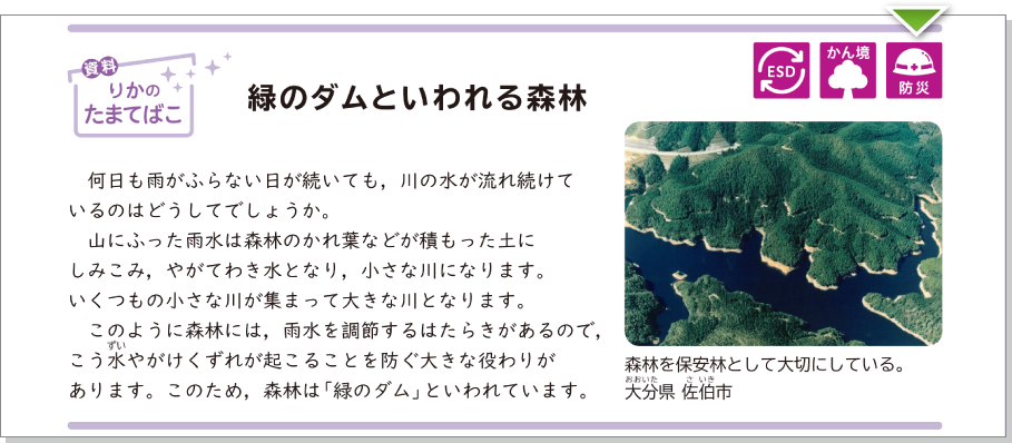 内容解説：緑のダムといわれる森林