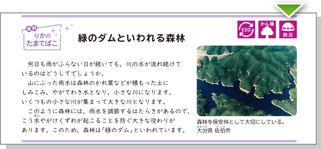 内容解説：緑のダムといわれる森林