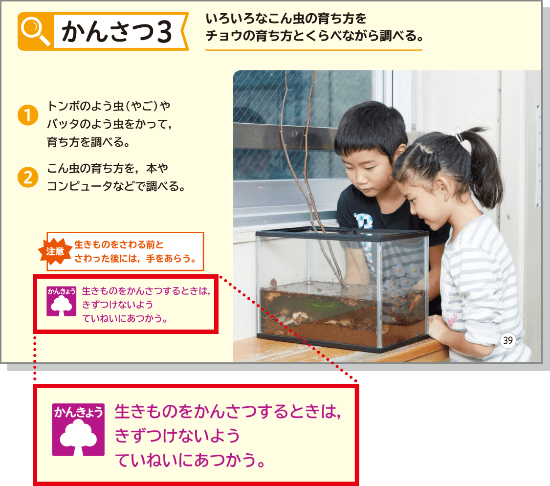 内容解説：自然を愛する心情