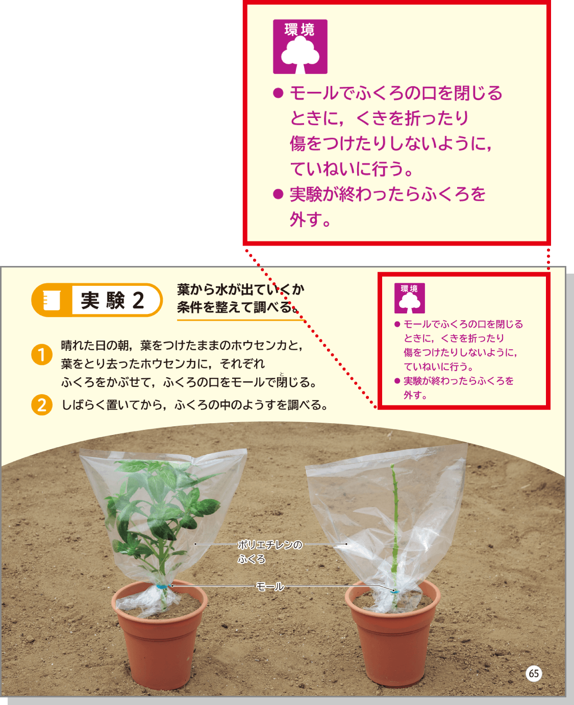 内容解説：自然を愛する心情2」