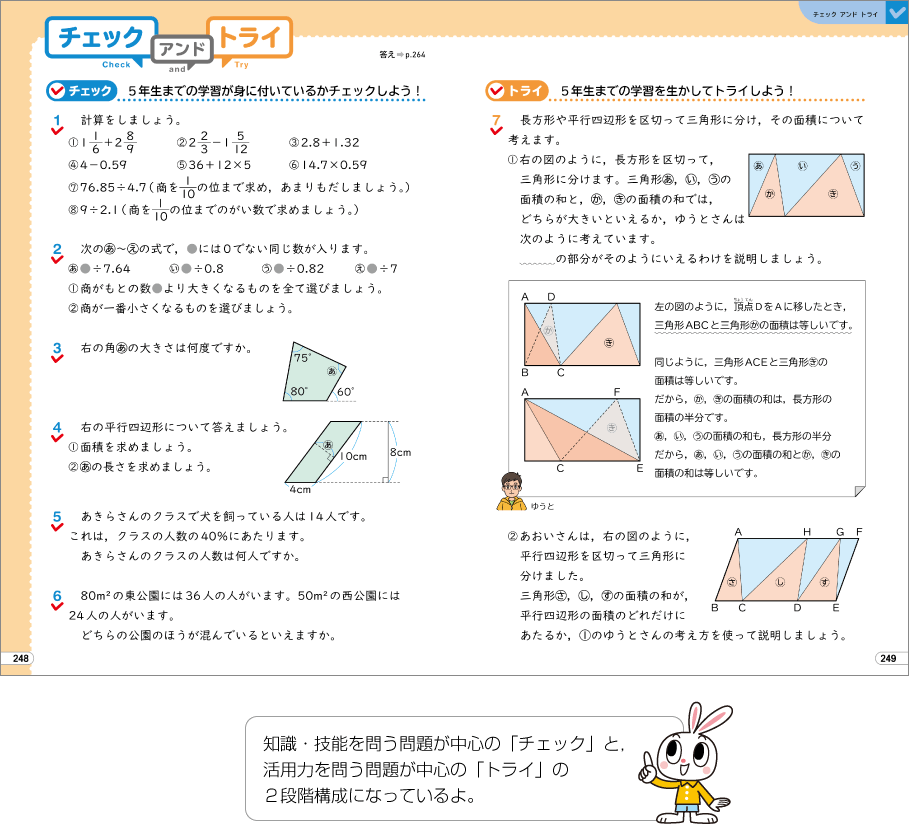 内容解説:チェックアンドトライ