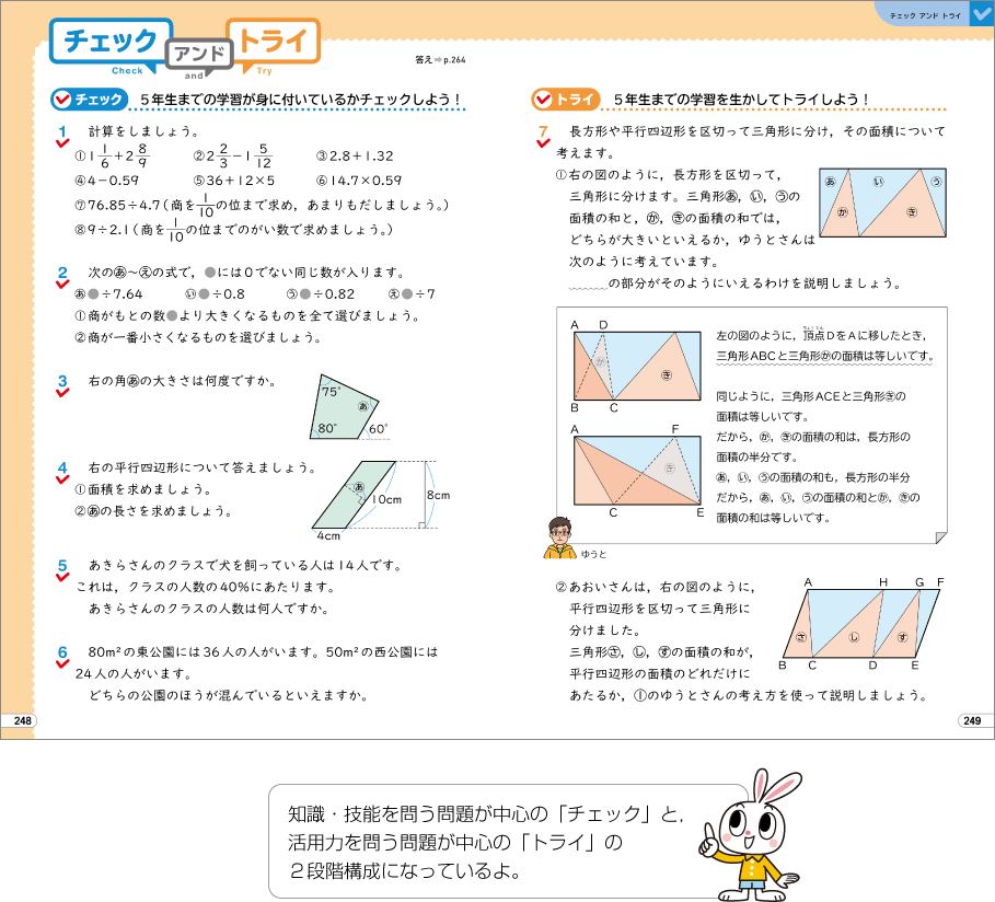 内容解説：チェックアンドトライ