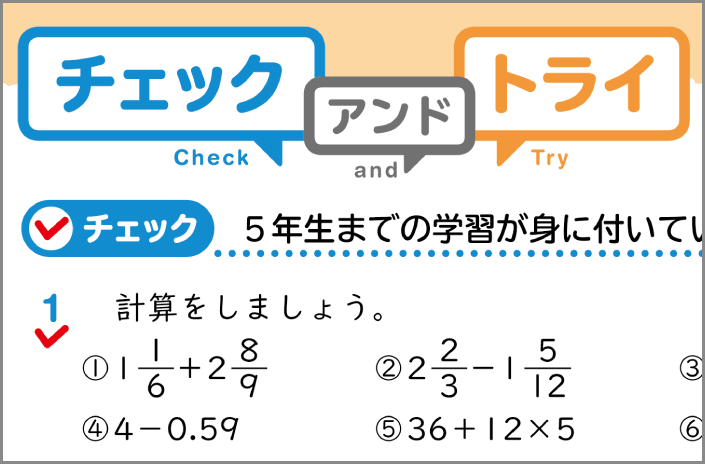 チェックアンドトライ