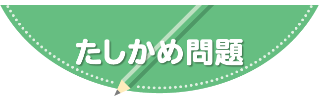 たしかめ問題