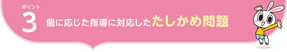 ポイント3.個に応じた指導に対応したたしかめ問題