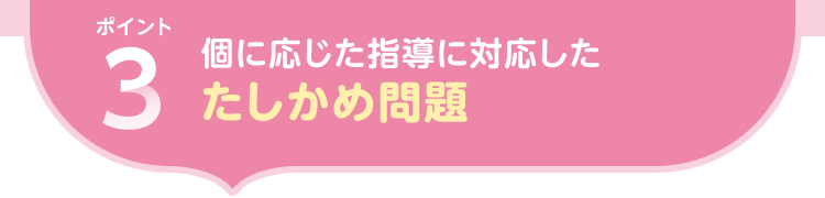 ポイント3.個に応じた指導に対応したたしかめ問題