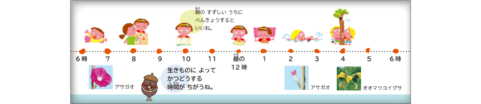 内容解説：自分自身に関すること2