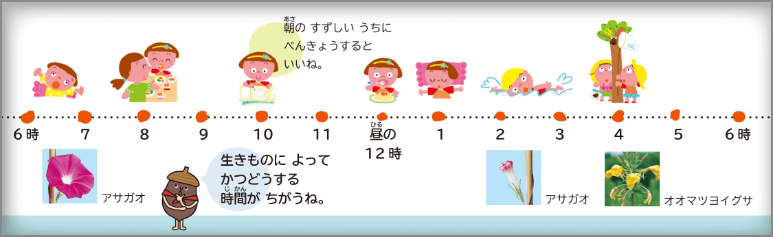 内容解説：自分自身に関すること2