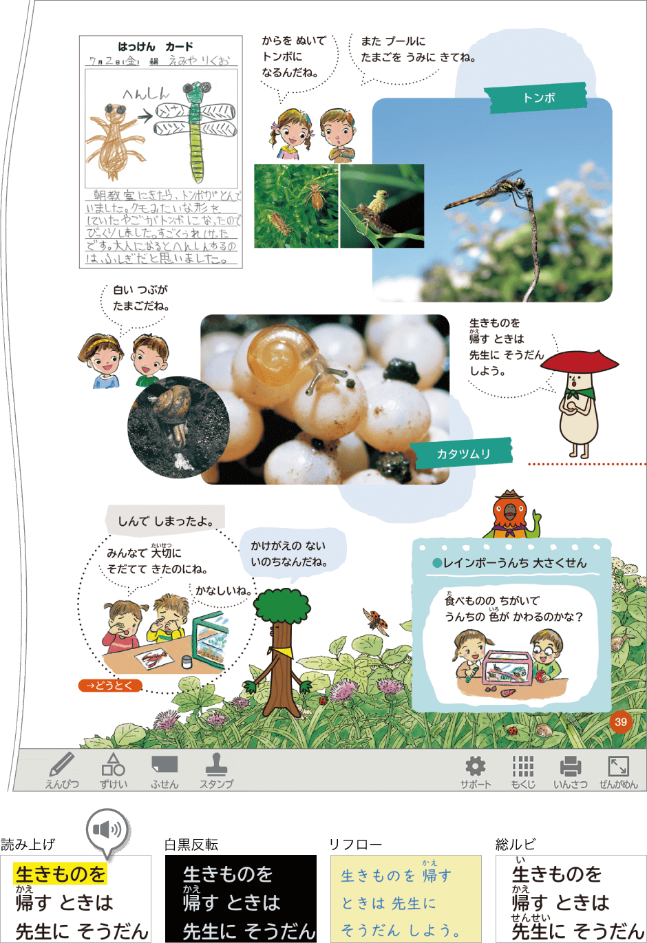 内容解説:デジタル教科書
