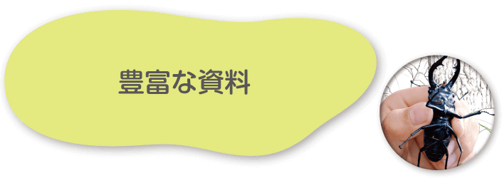 豊富な資料