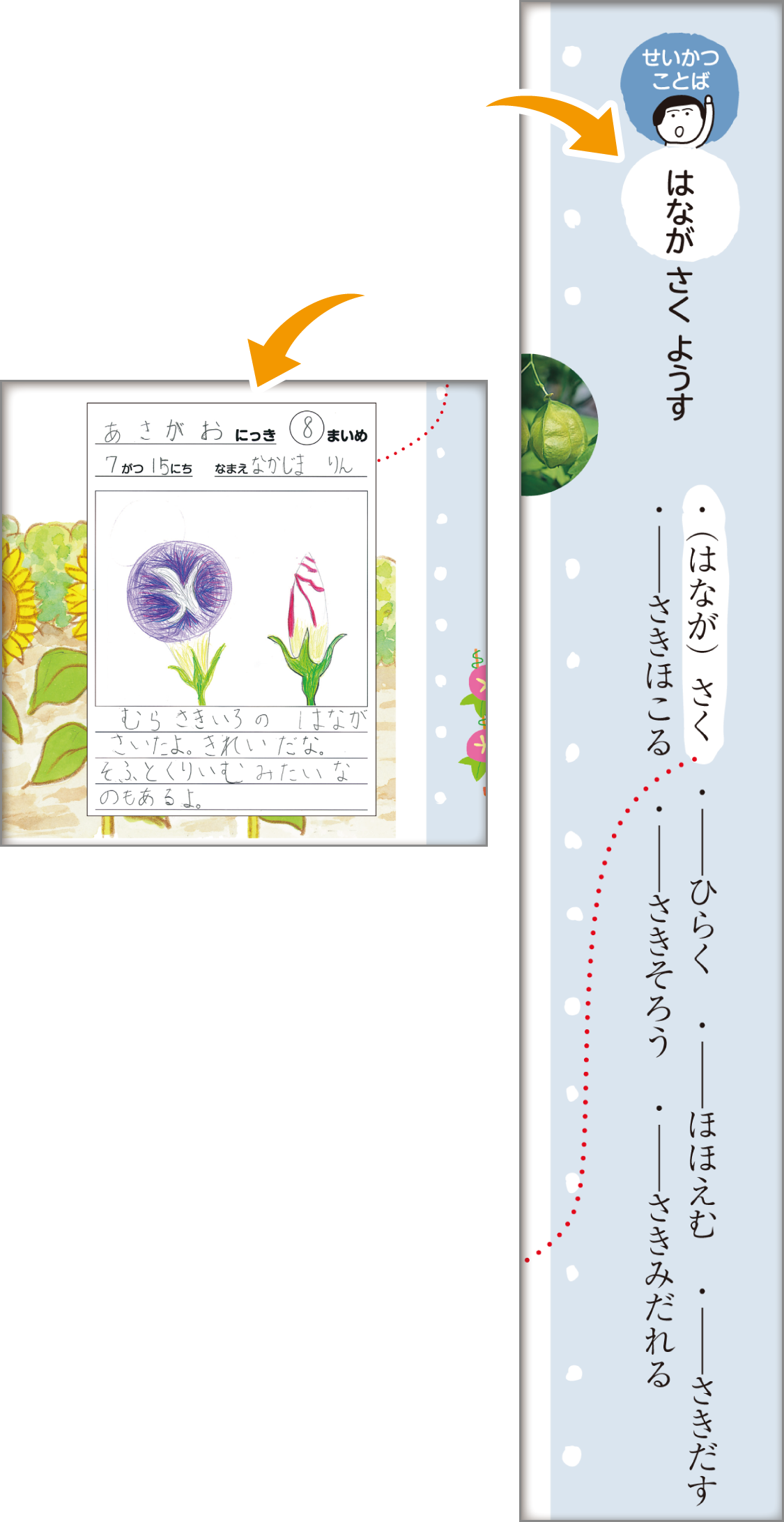 内容解説：せいかつことば