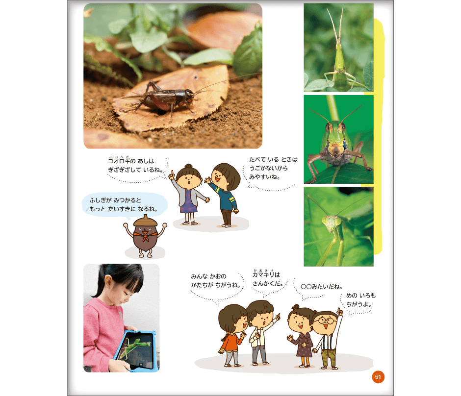 内容解説:生き物単元