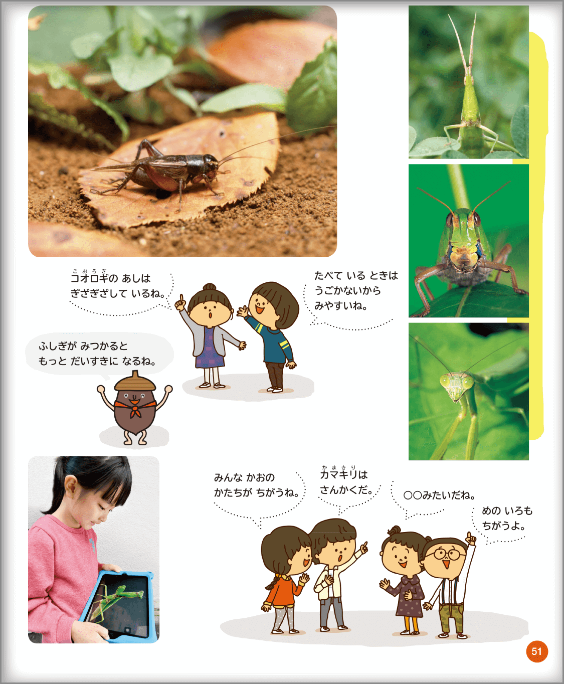 内容解説:生き物単元