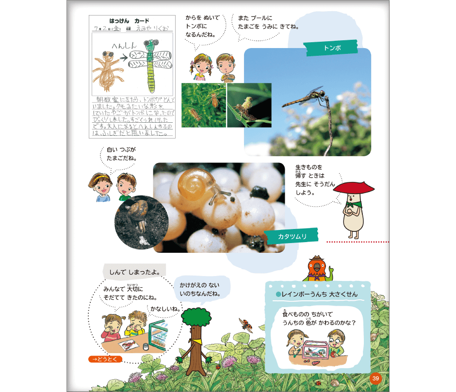 1年生から2年生へ 発達段階を踏まえた活動を 令和2年版 小学校生活 内容解説資料 大日本図書