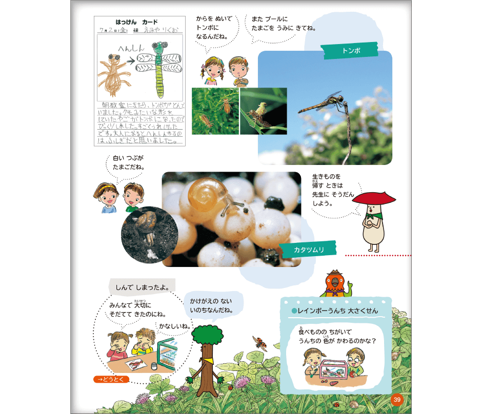 内容解説:生き物単元2