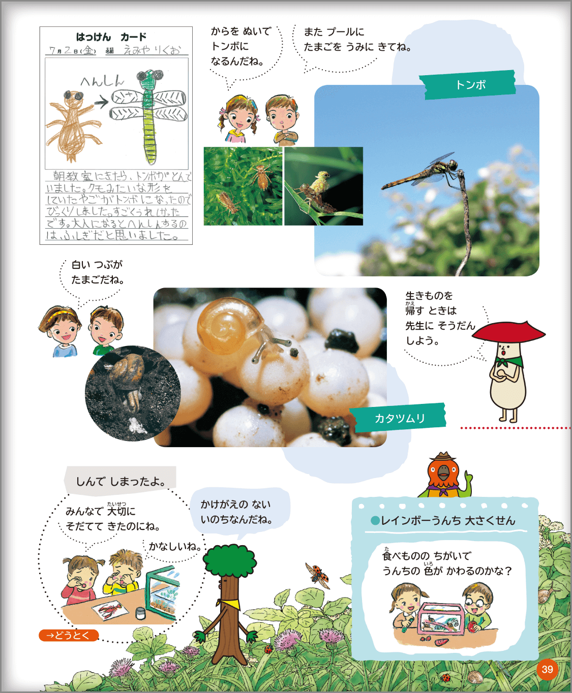 内容解説:生き物単元2
