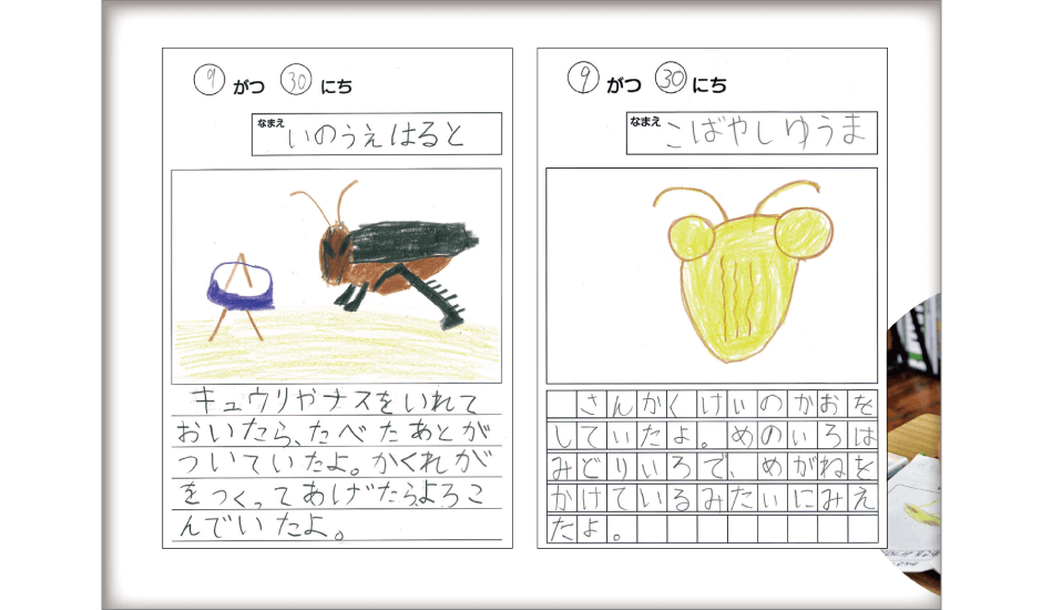 内容解説：見やすく，書きやすいカードの工夫