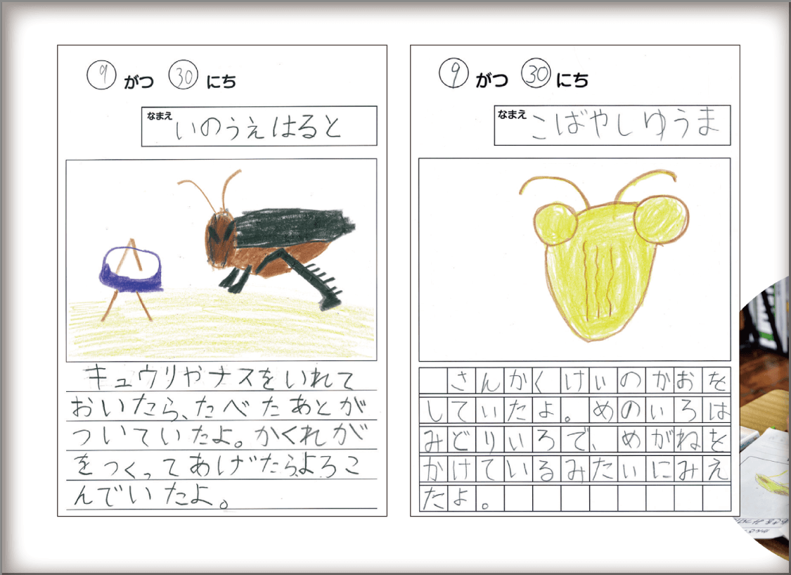 内容解説：見やすく，書きやすいカードの工夫