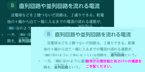 白黒反転表示／色カバー