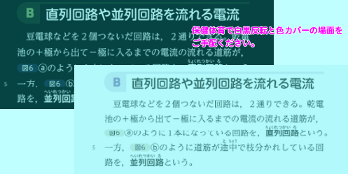 白黒反転表示／色カバー