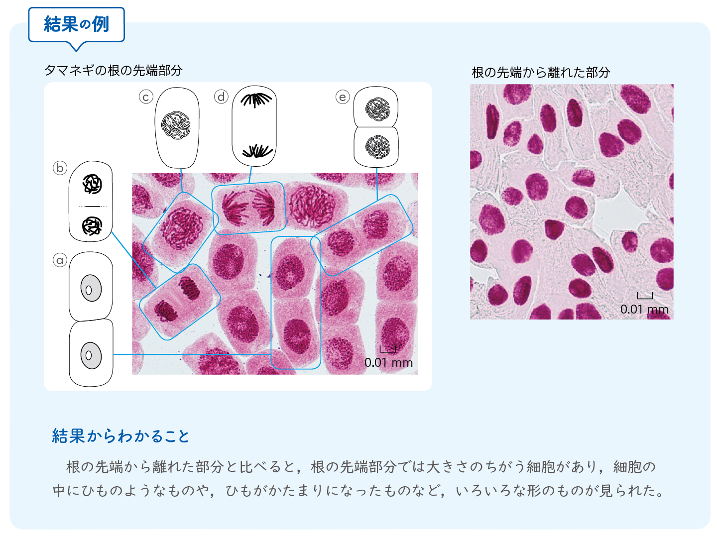 ３年p.92