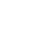 活用する力の育成