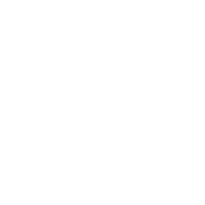 基礎的・基本的な知識・技能の習得