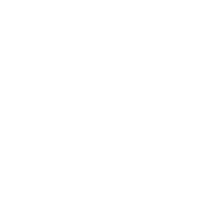 思考力・判断力・表現力の育成