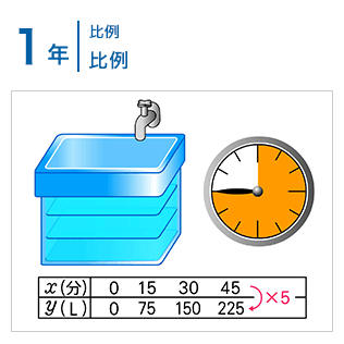 1年：比例/比例