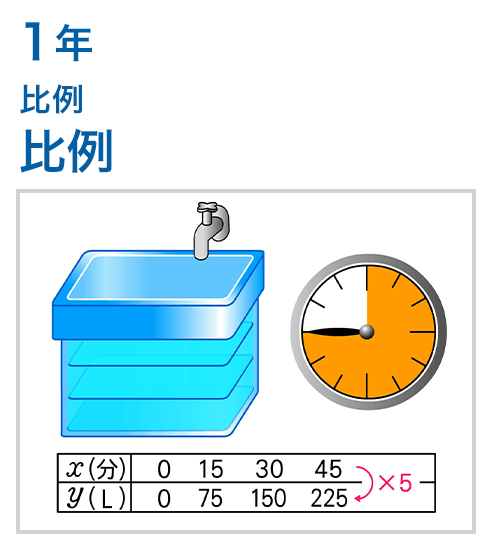 1年：比例/比例