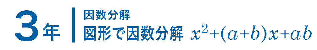3年；因数分解/図形で因数分解 x^2+(a+b)x+ab