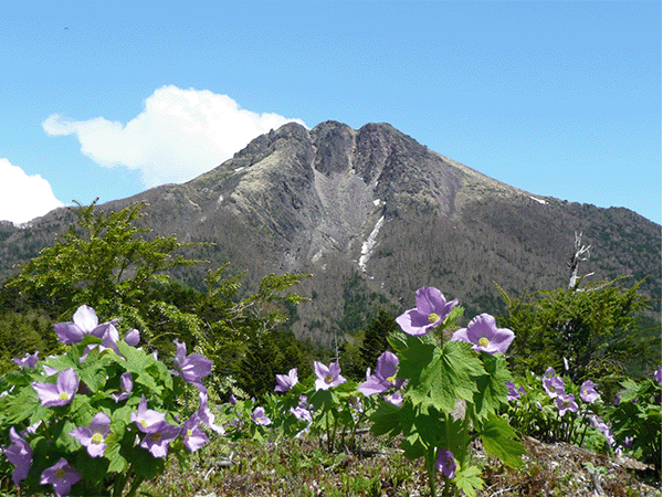 日光白根山