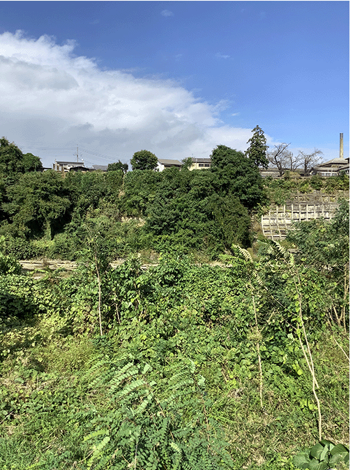 酢の瀬歩道橋近くの地層その2