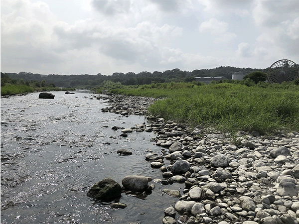 荒川|中流1