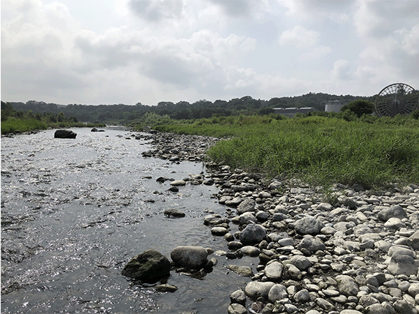 荒川｜中流１