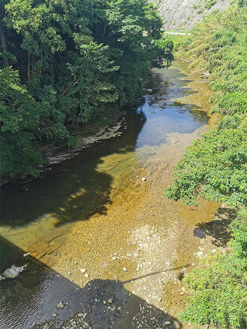 夷隅川｜上流