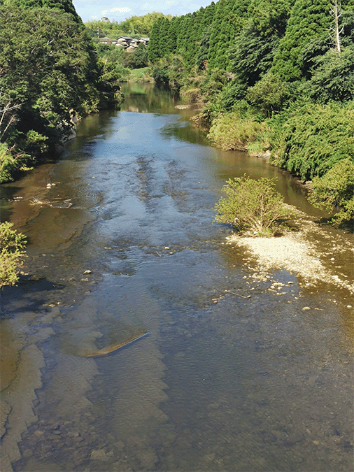 夷隅川｜中流