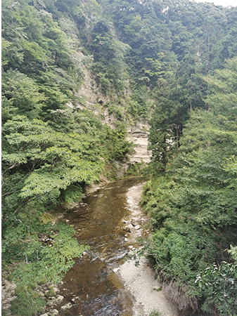 小櫃川｜上流