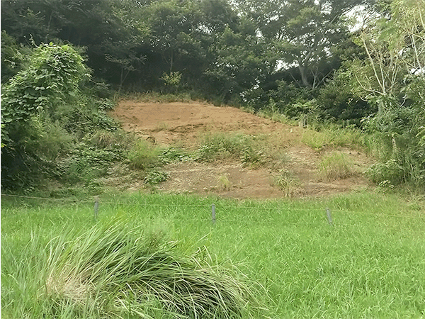 木下公園の化石層