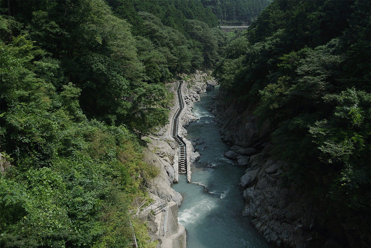 多摩川｜上流１
