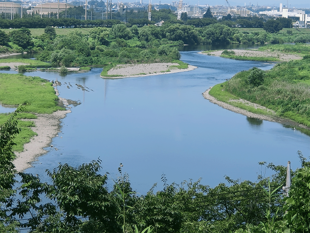 多摩川|下流その2