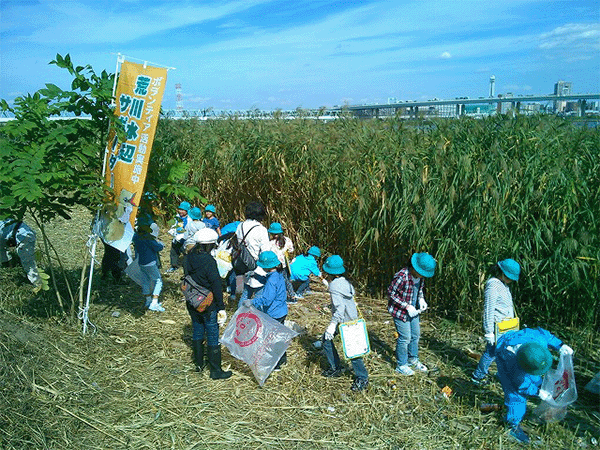 小松川干潟(小松川自然地)その3
