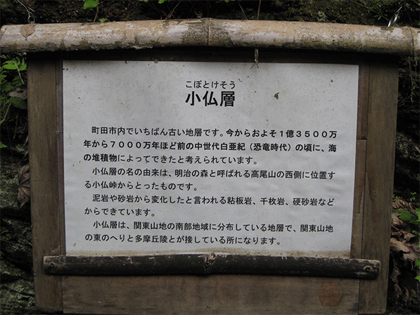 小仏層その2